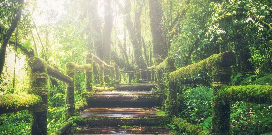 Mire váltál érdemessé?