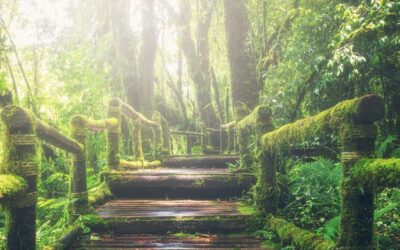 Mire váltál érdemessé?